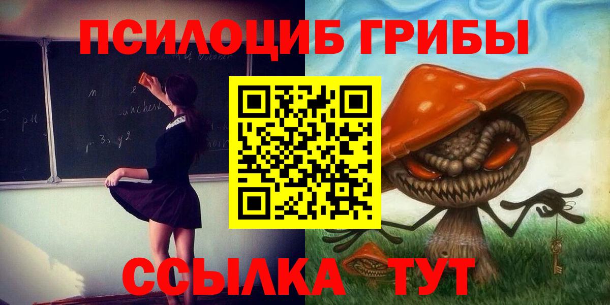 где продают наркотики  Псилоцибиновые грибы прущие грибы  Вход с VPN  Галлюциногенные грибы прущие грибы  Новоалтайск 